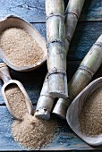 Sugar canes with raw sugar