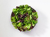 Fresh mixed lettuce leaves in a plastic bowl in front of a white background (seen from above)