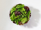 Mixed lettuce leaves in a plastic bowl in front of a white background (seen from above)