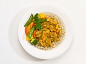 Chicken masala with vegetables and rice on a plate in front of a white background