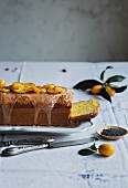 Tangerine loaf cake on table