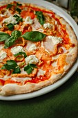 Pizza with poultry, ham and ricotta