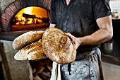 A baker holding several freshly baked wood oven bread loaves in his hands