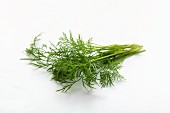 Fresh dill