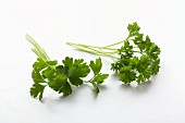 Fresh parsley, smooth and curly