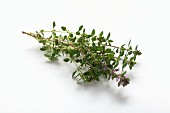 Fresh thyme with leaves