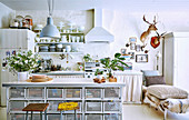 Vintage kitchen counter with storage baskets, fully loaded crockery shelf above sink in background