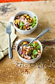 Lupinen-Auberginen-Salat mit frischem Koriander