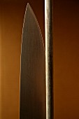 Knife and knife sharpener