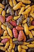 Various types of finger potatoes (filling, supervision)