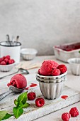 Raspberry sorbet in metal bowls with an ice cream scoop on a wooden board