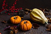 Decorative pumpkins and autumn leaves