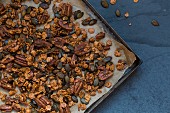 Chocolate nut crunch (low carb)