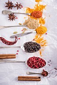 Various spices, some on spoons