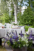 Bouquet of blue lupins in front of set table in garden