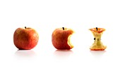 Apple eating sequence