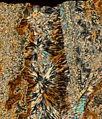 Jasper, polarised light micrograph