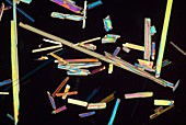 Zeolite, polarised light micrograph