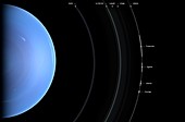 Structure of Neptune's Rings