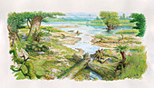 Early Cretaceous landscape, illustration