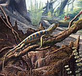 Hylonomus reptile, illustration