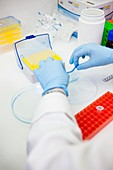 Protein analysis and sample preparation
