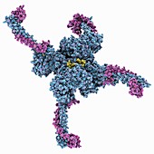 Demethylase complexed with RNA