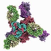 HIV-1 glycoprotein complex