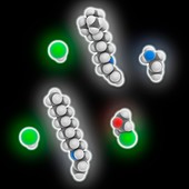 Colesevelam hydrochloride drug molecule