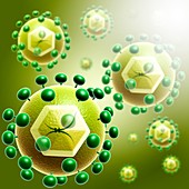 HIV virus particles, illustration