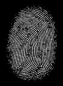 Fingerprint, illustration