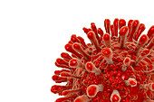 Antibodies attaching HIV particles, illustration