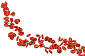 Red blood cells and DNA, illustration