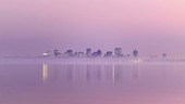 Boston skyline at dusk, time-lapse footage