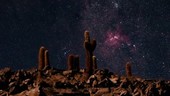 Cacti and Carina Nebula, time-lapse footage