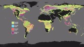 Global forest cover, 2000-2014, animation