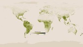 Global vegetation levels, 2015-2016, animation