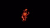 Quasar halo, 3D animation