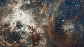 Tarantula Nebula, HST rostrum footage