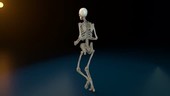 Human skeleton running, rotating animation