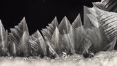Ice crystals forming on glass