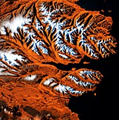 Icelandic fjords, satellite image