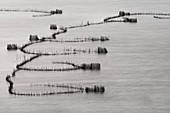 St Lucia traditional fishing traps