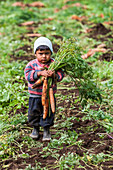 Agriculture in Guatemala
