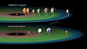 TRAPPIST-1 planets and habitable zones, illustration