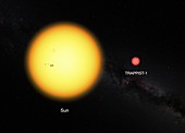 Sun and TRAPPIST-1 dwarf star, illustration