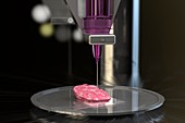 3D bioprinting of organs, illustration