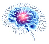 Human brain on brain-shaped circuit board