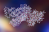 Anthrax lethal factor molecule, illustration