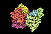 Cholera toxin molecule, illustration